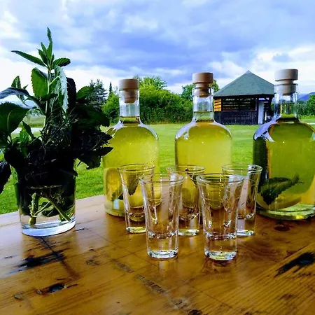 Appartement App Parcela Celje